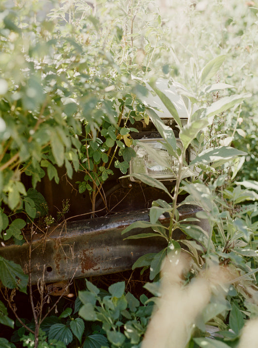 Lomography Lomochrome Color´92 Sun Kissed ISO 400 Formato 110 C-41