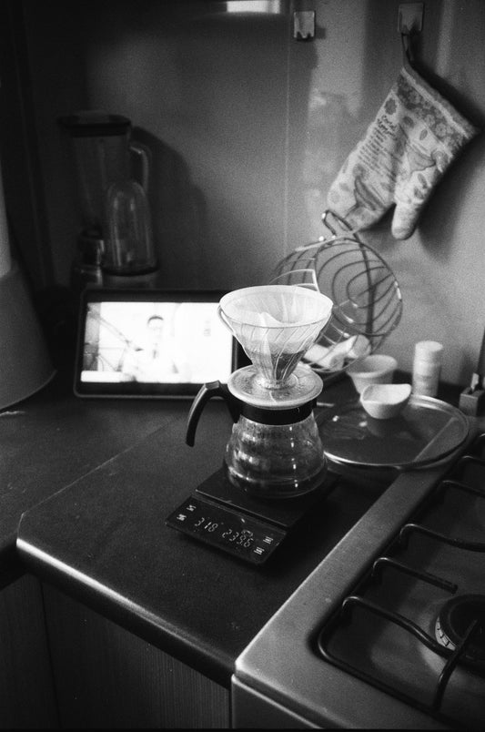 Arista 400 Carga 35mm B/N 36exp