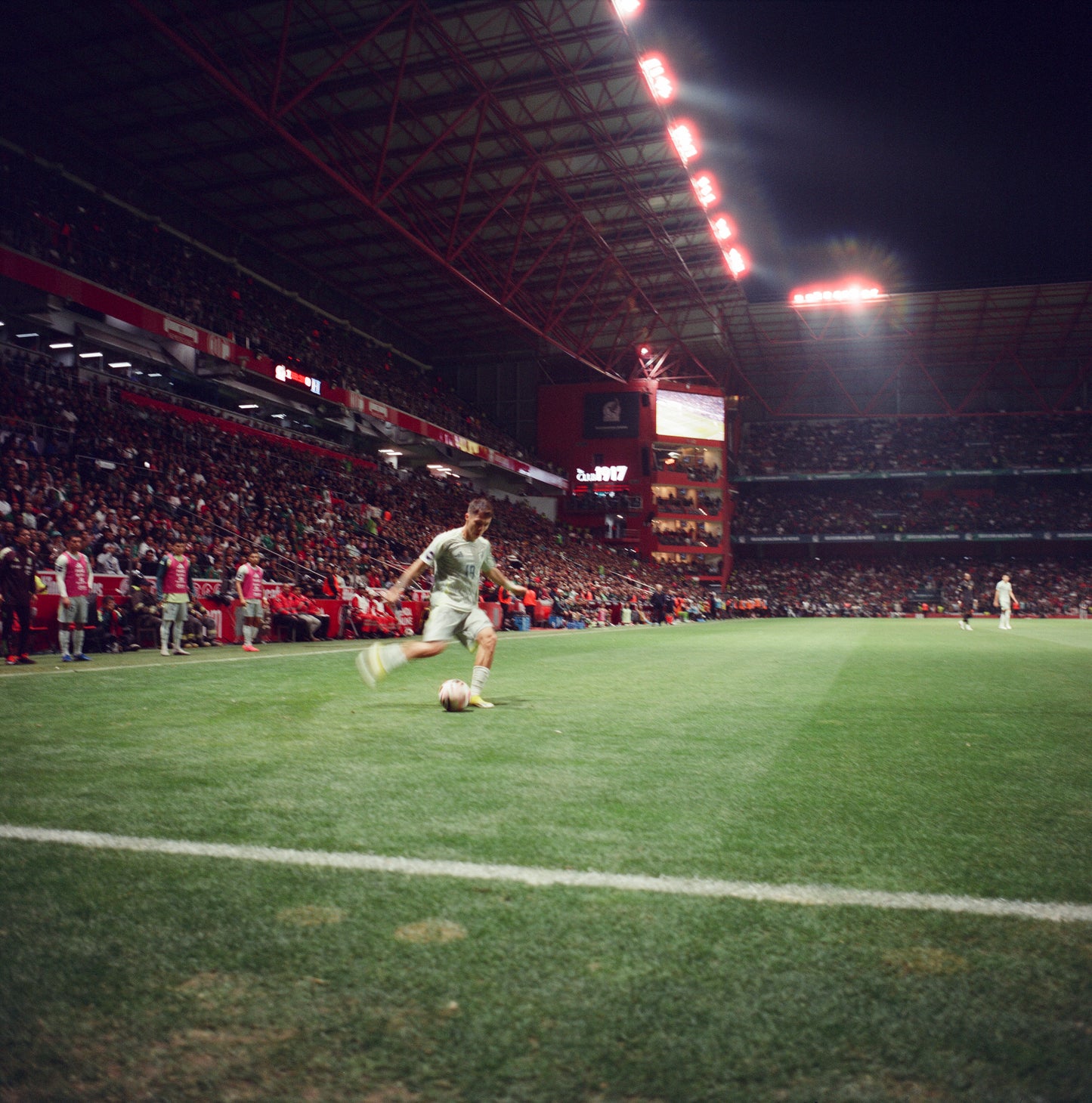 CineStill 400D Película Color C41 35mm 36exp