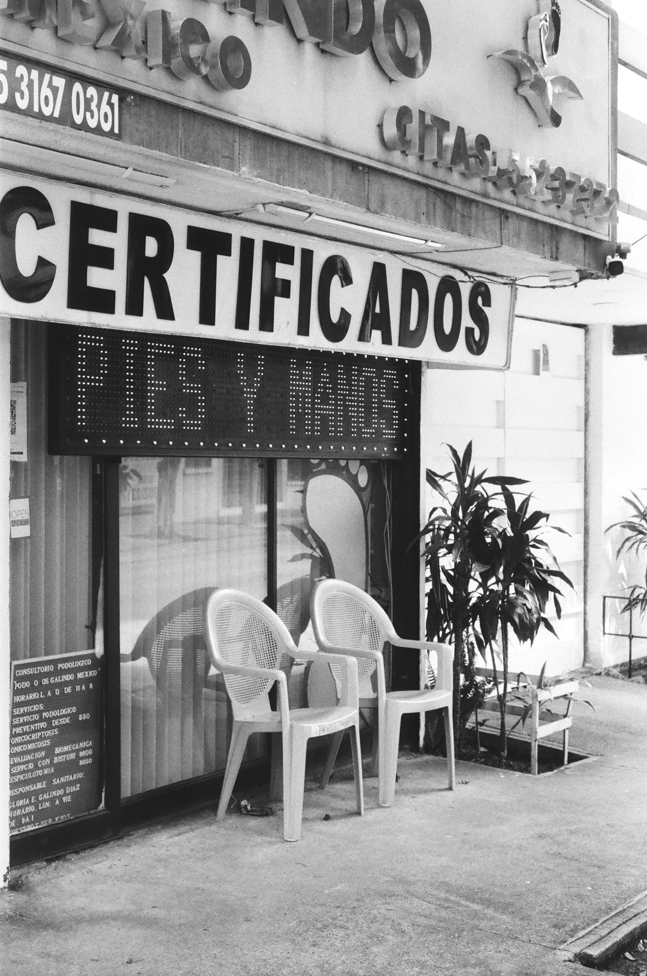 Arista 400 Carga 35mm B/N 36exp