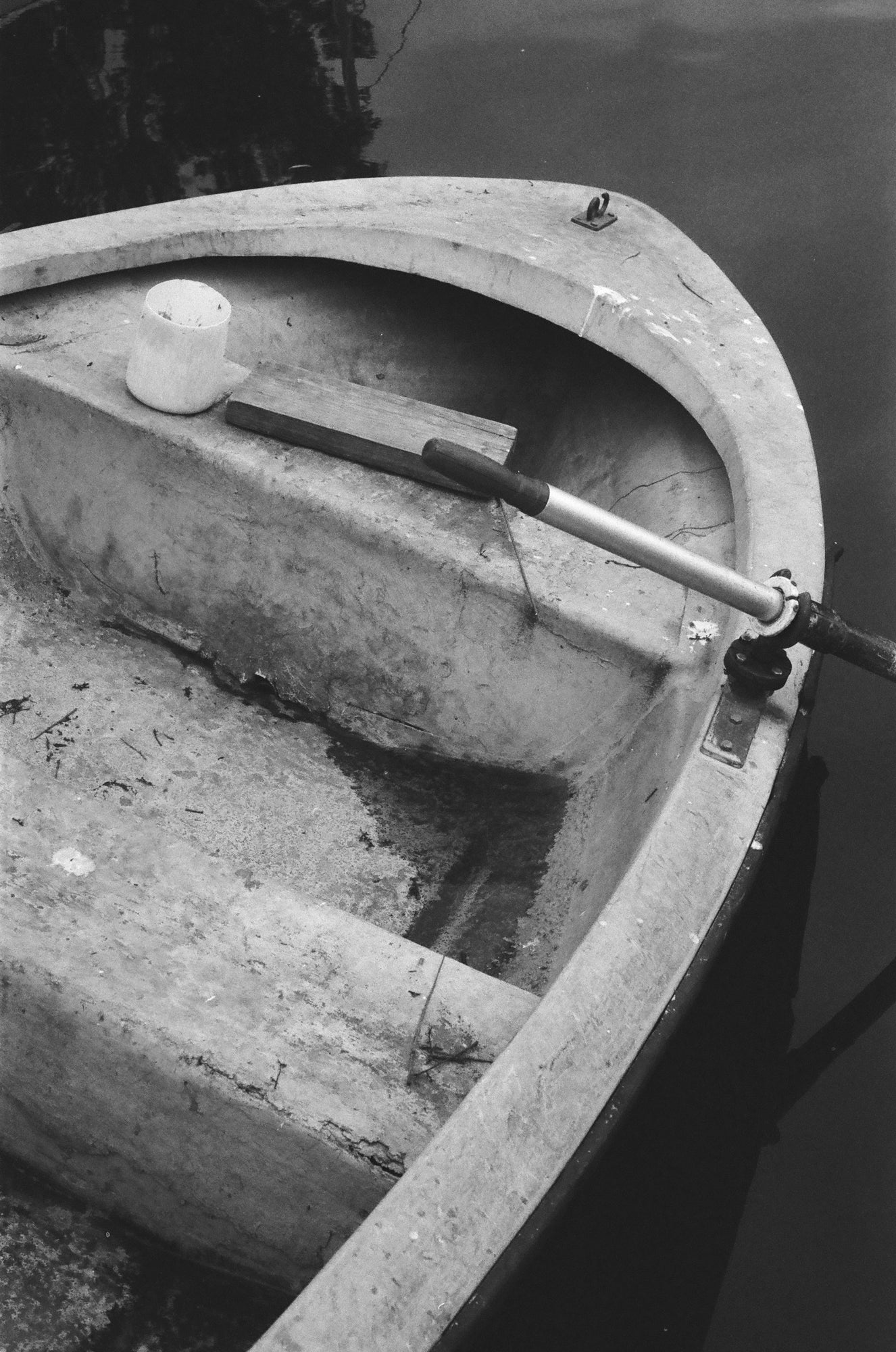 Fomapan 400 Carga 35mm B/N 36exp