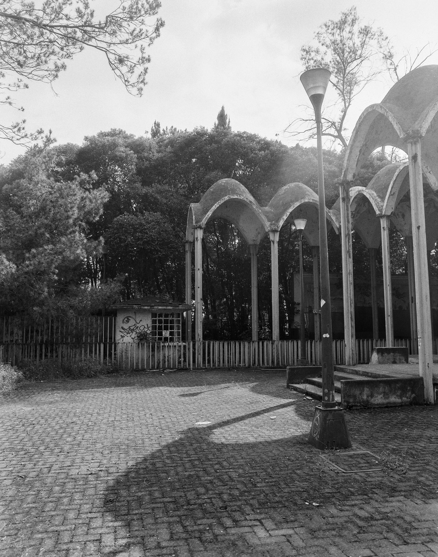 Rollei RPX 400 Película b/n formato 120