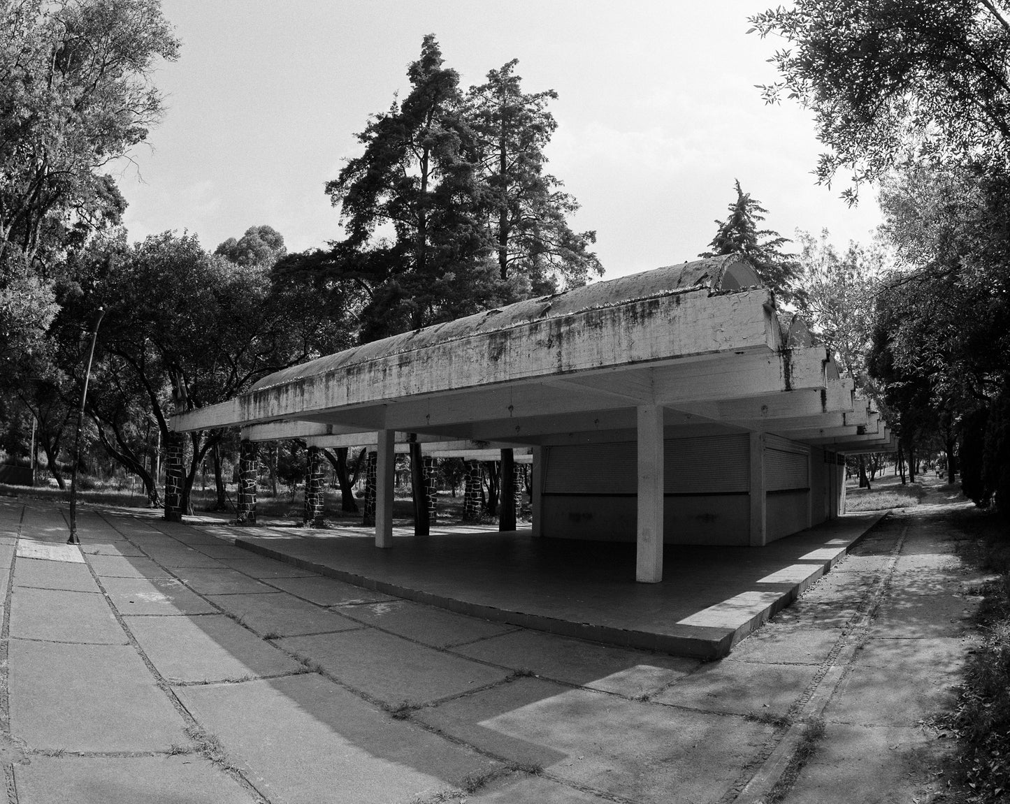 Rollei RPX 400 Película b/n formato 120