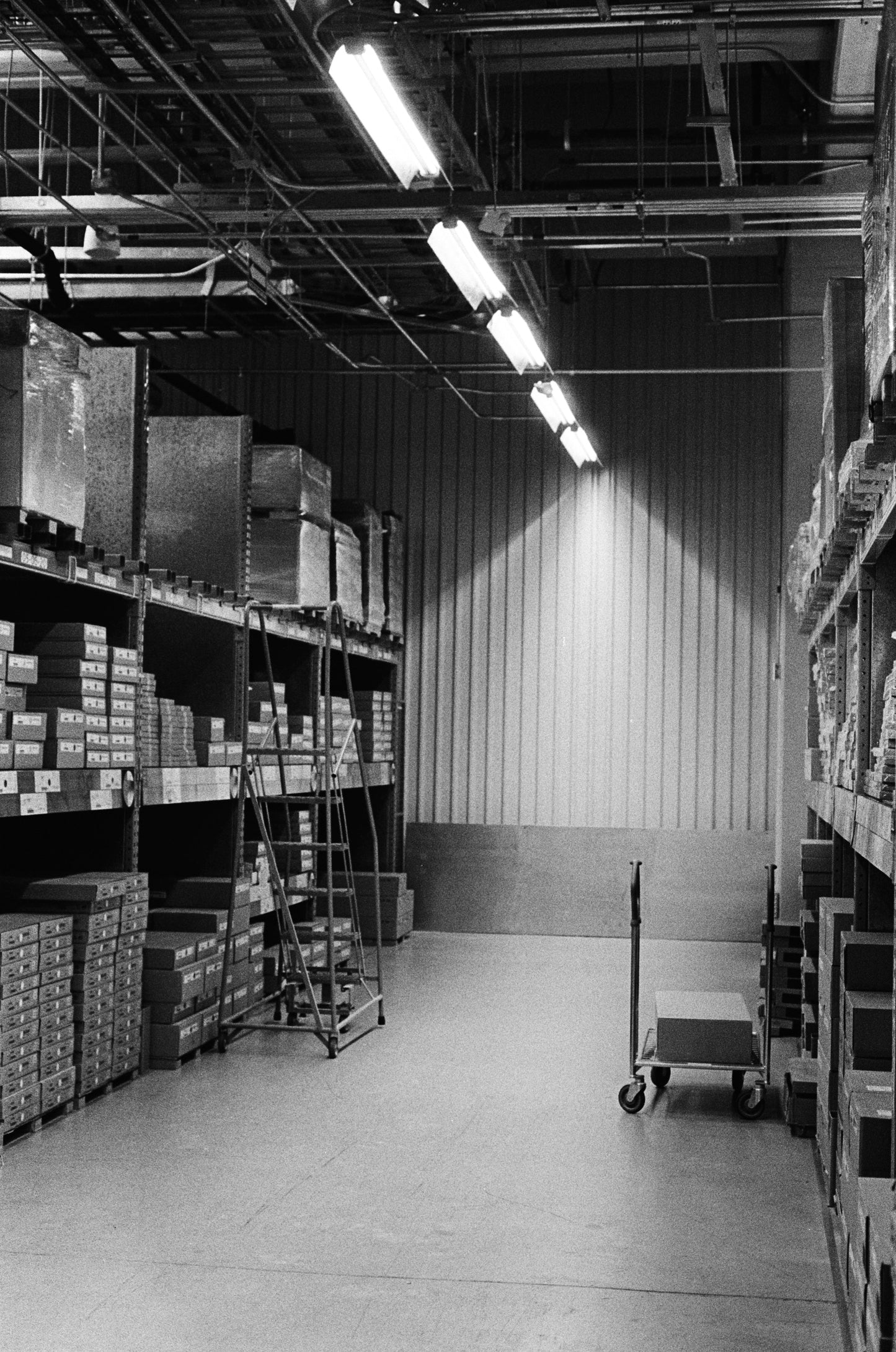 Kodak 400Tx (Eastman's version) Película ByN 35mm 36exp