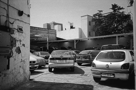 Fomapan 200 Película b/n 35mm