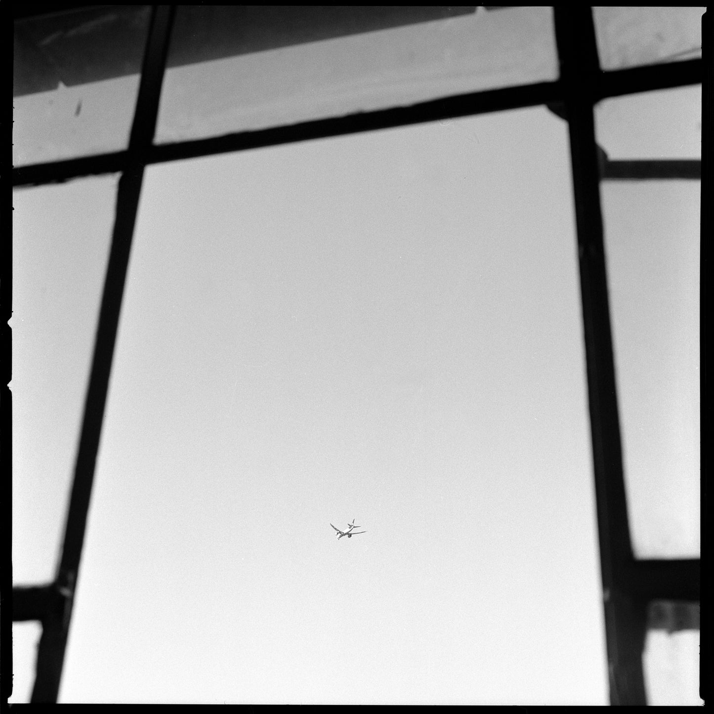 Kodak TMax 400 Película b/n 35mm 36exp