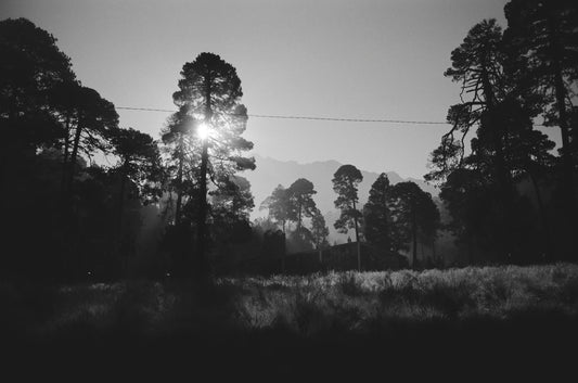 FujiFilm Acros 100 Neopan Pelicula b/n 35mm 36exp