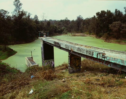 Fujifilm Velvia 100 Película Diapositiva E6 35mm 36exp