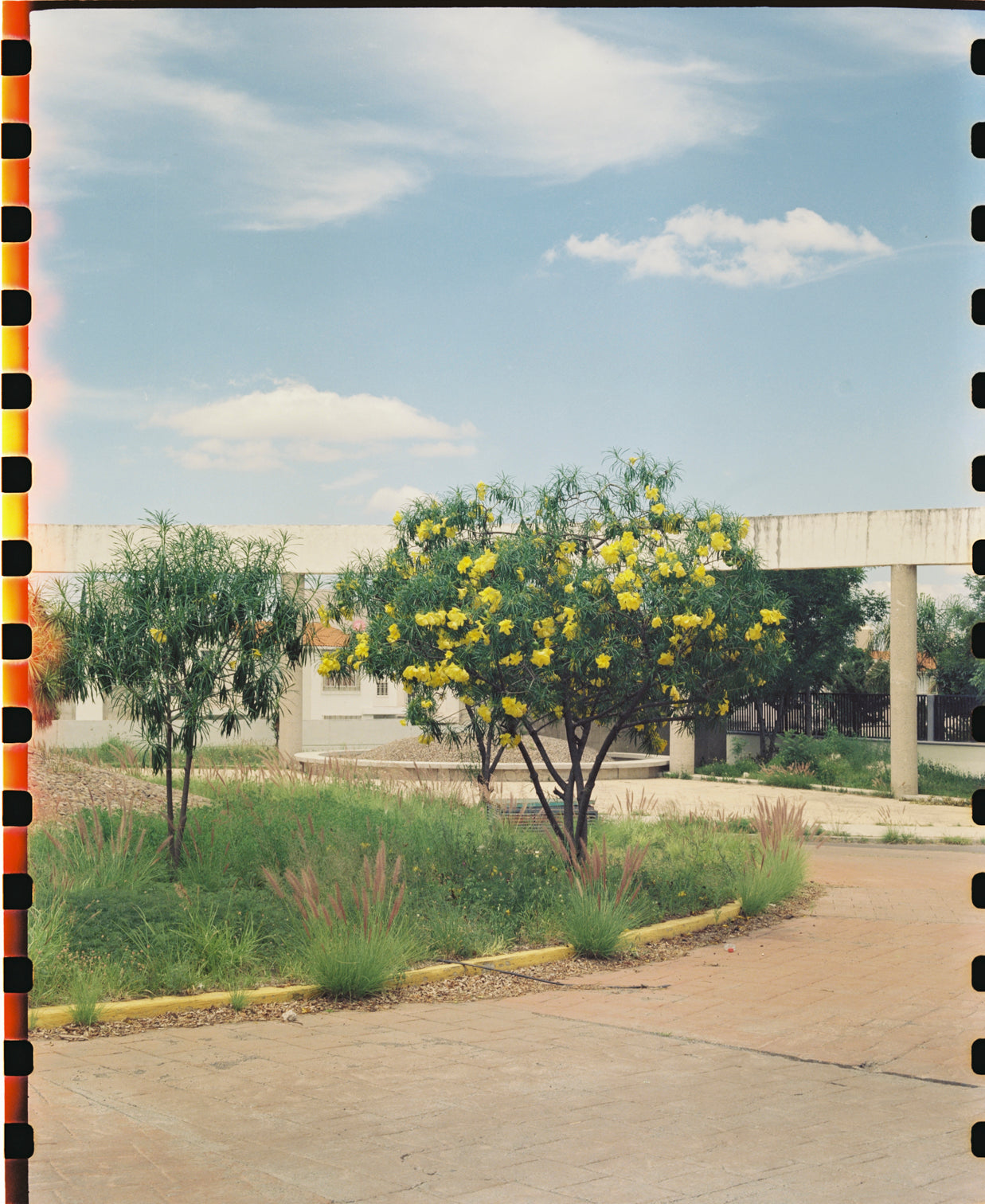 FilmVago 500T Película Kodak Vision3 Color ECN2 formato 120