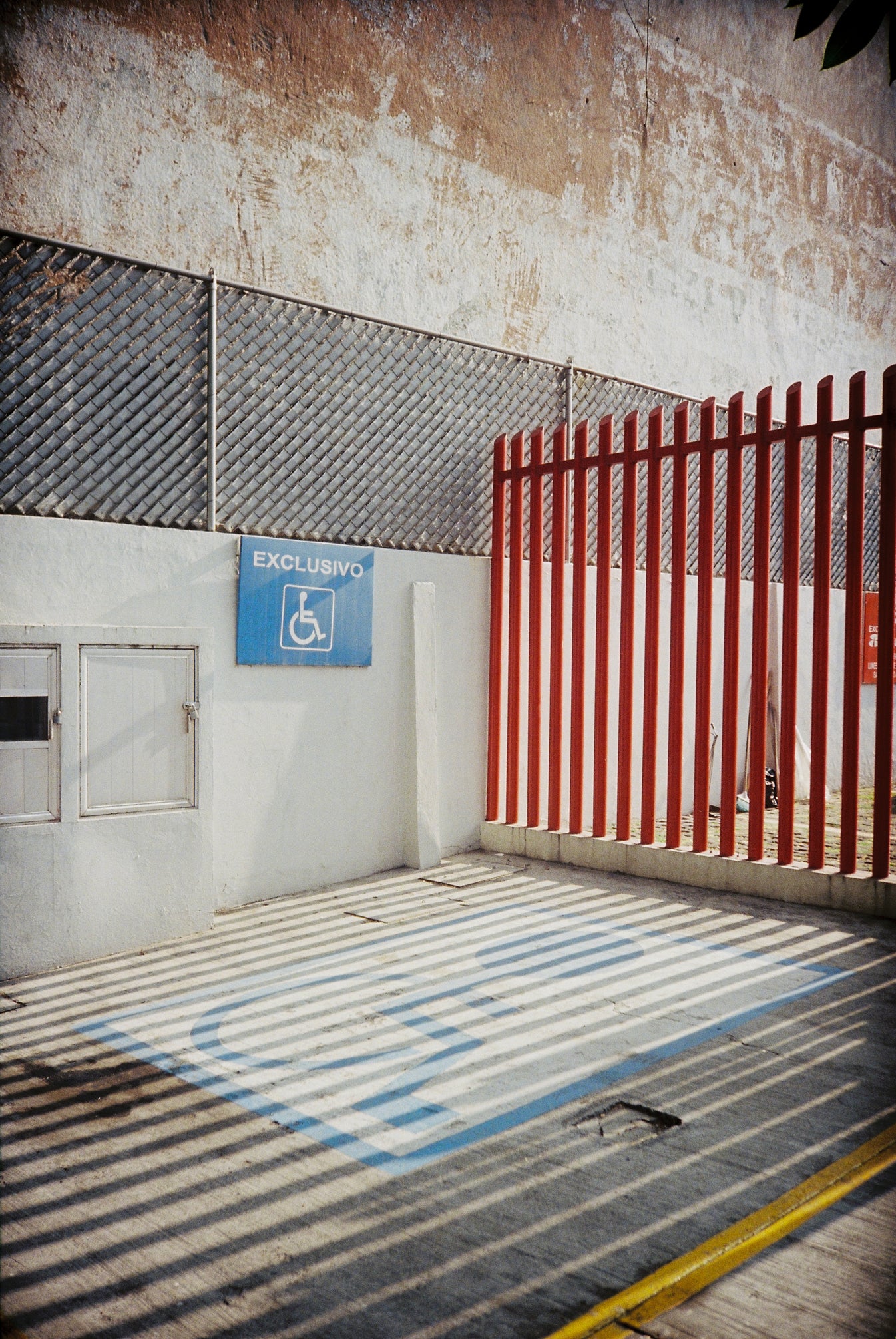 Candido800 35mm 36 exp