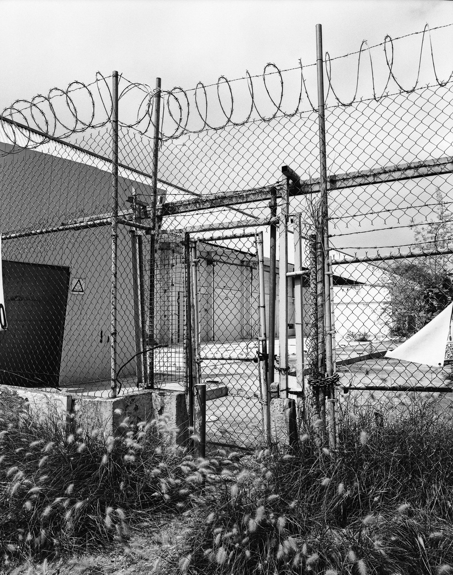 Rollei Retro 400S Película b/n 35mm 36 exp