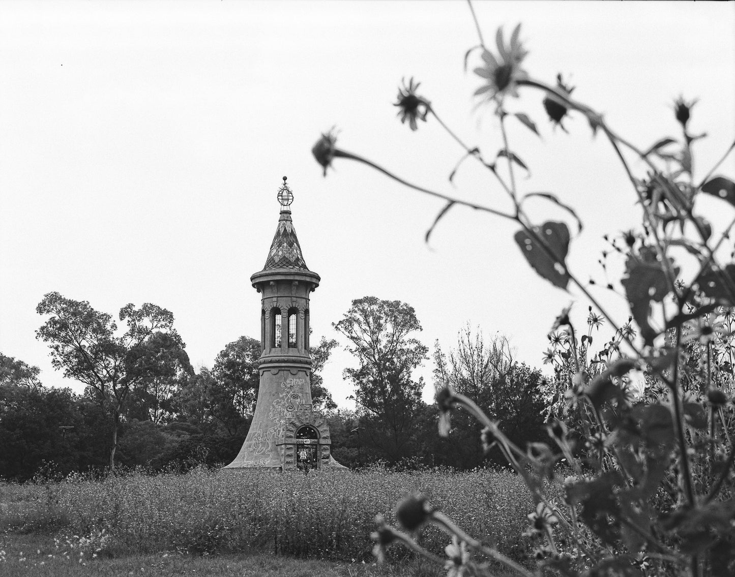 Rollei Retro 400S Película b/n 35mm 36 exp