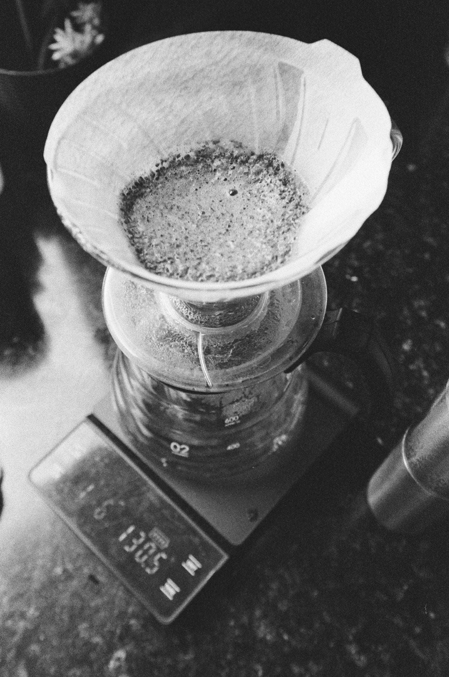 Kodak TMax 3200 Película b/n 35mm 36exp