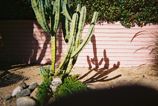 Dubblefilm Bubblegum 400 35mm 36exp