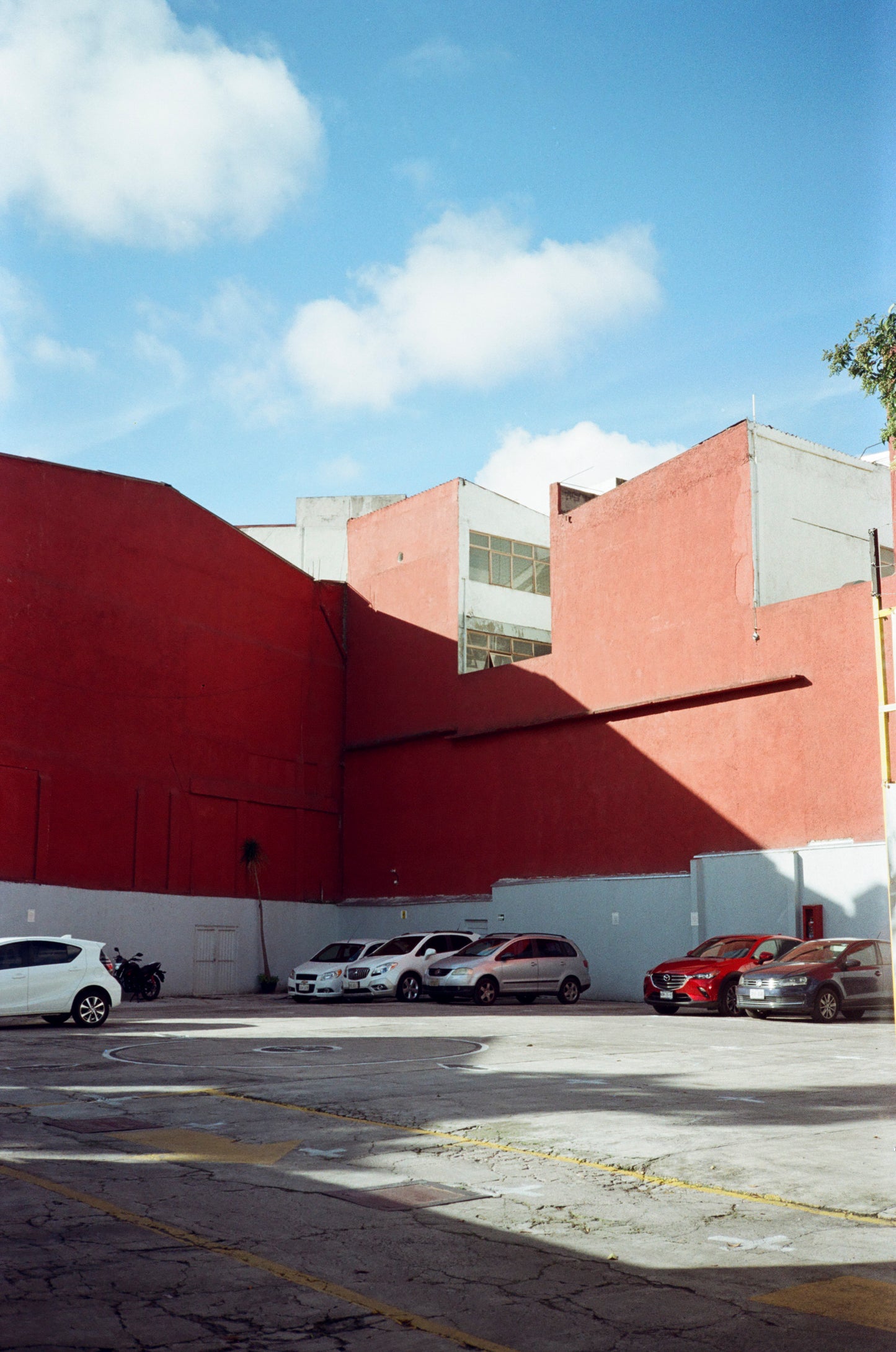 Kodak Pro Image 100 Película Color C41 35mm 36exp - Venta individual