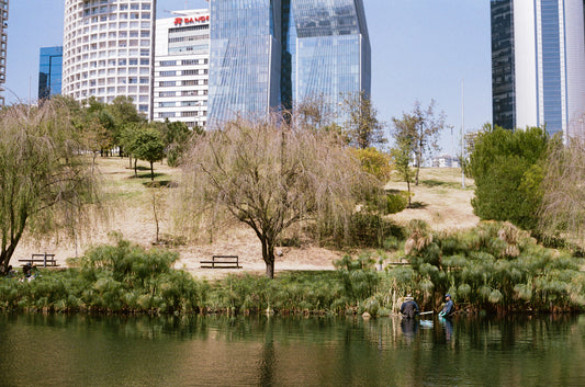 ¿Cómo tirar rollos caducados?: Kodak Gold 2006