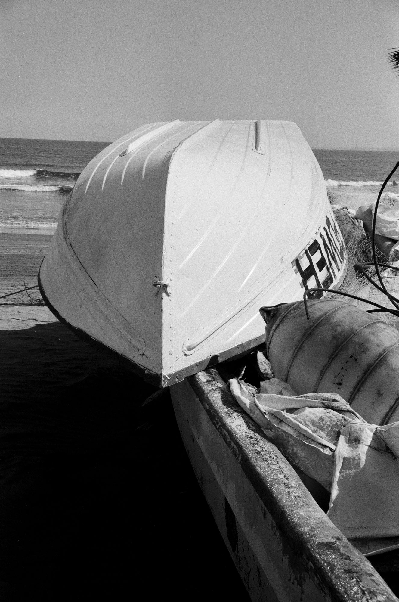 Arista Edu 400 DX 35mm