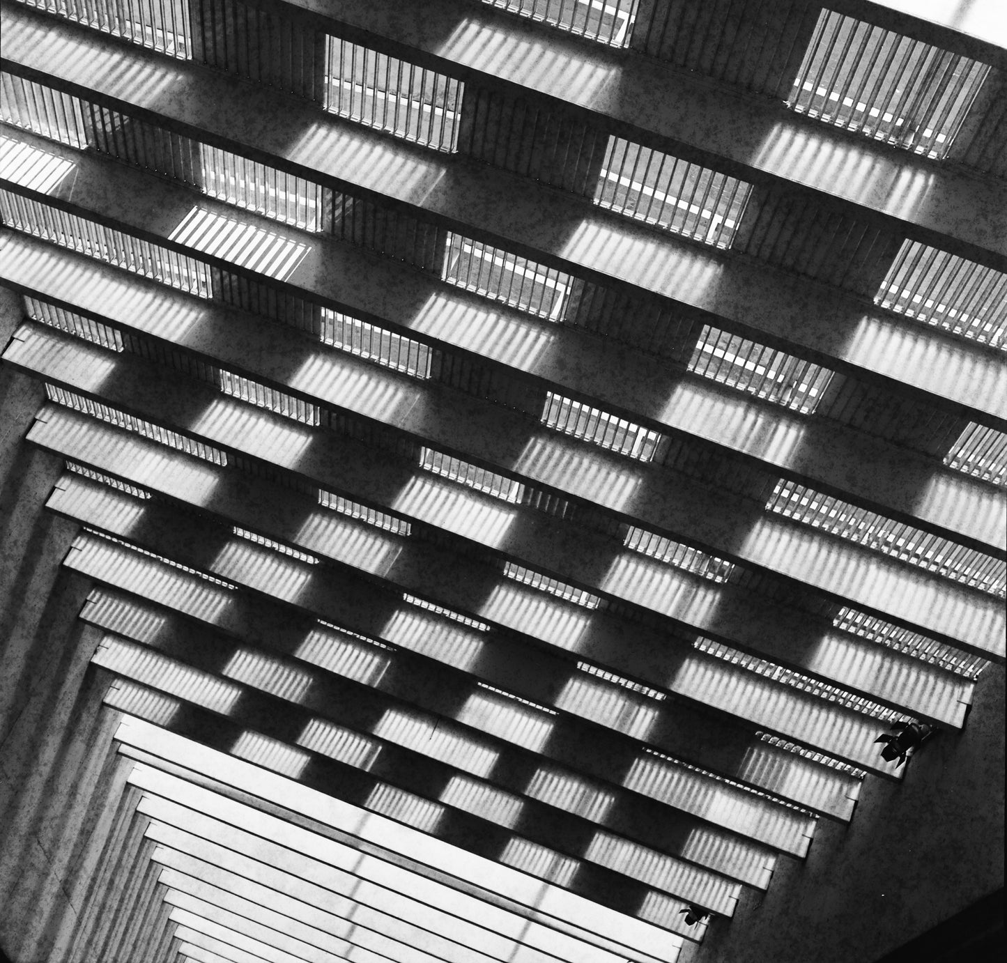 Rollei Retro 80s Película b/n Formato 120