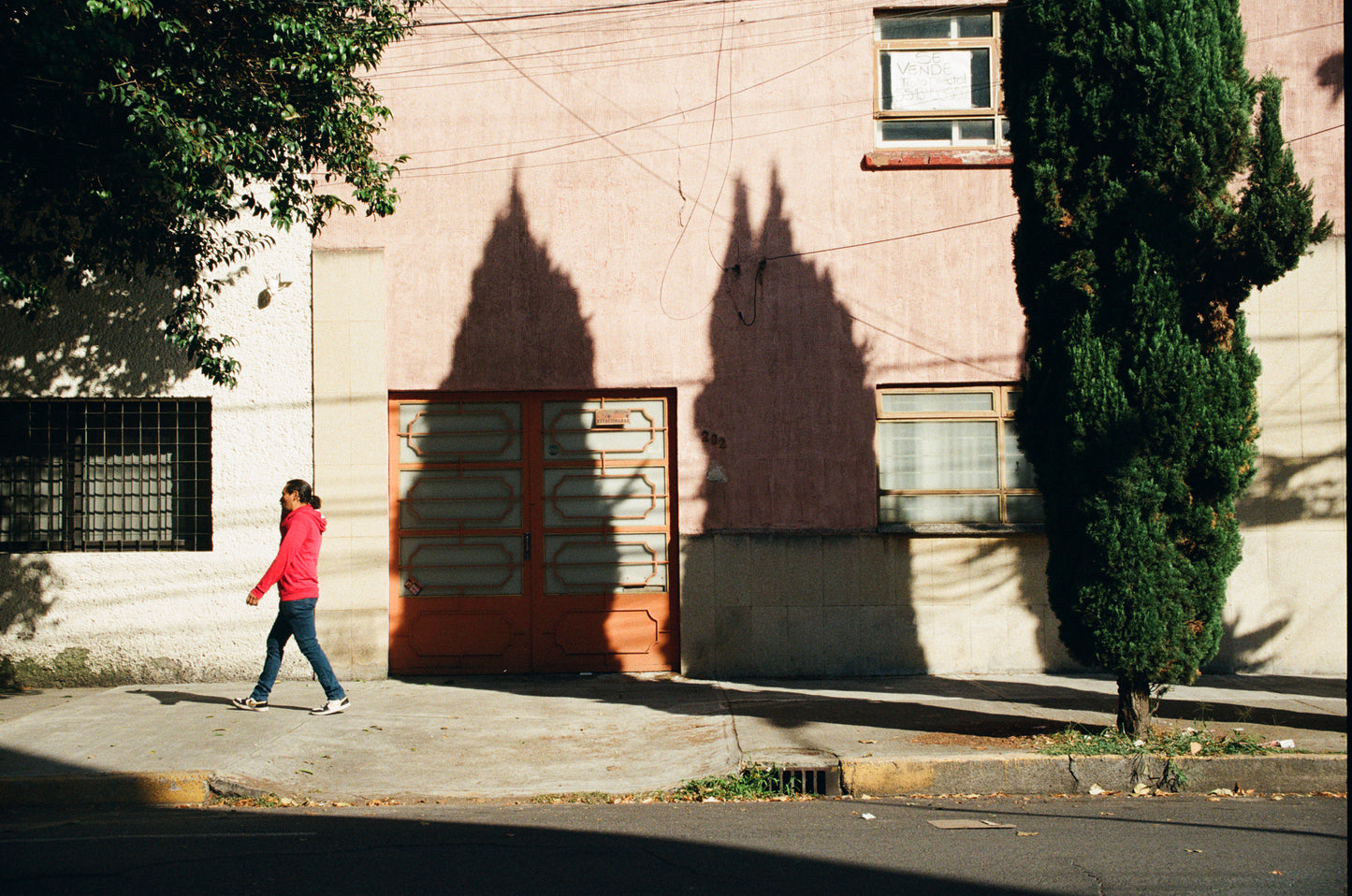 Street Candy - Street Savvy 400 Película Color C41 35mm 36exp