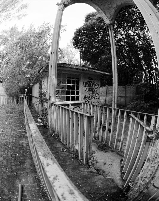 Rollei RPX 400 Película b/n formato 120