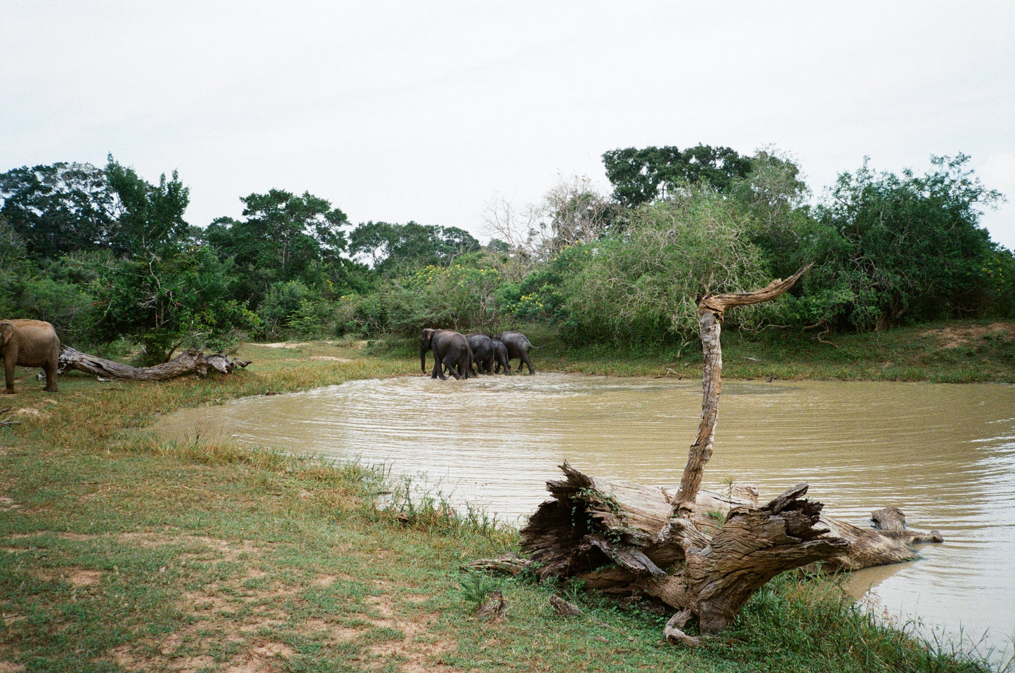 Retocolor Prism 200 Film 35mm 36exp