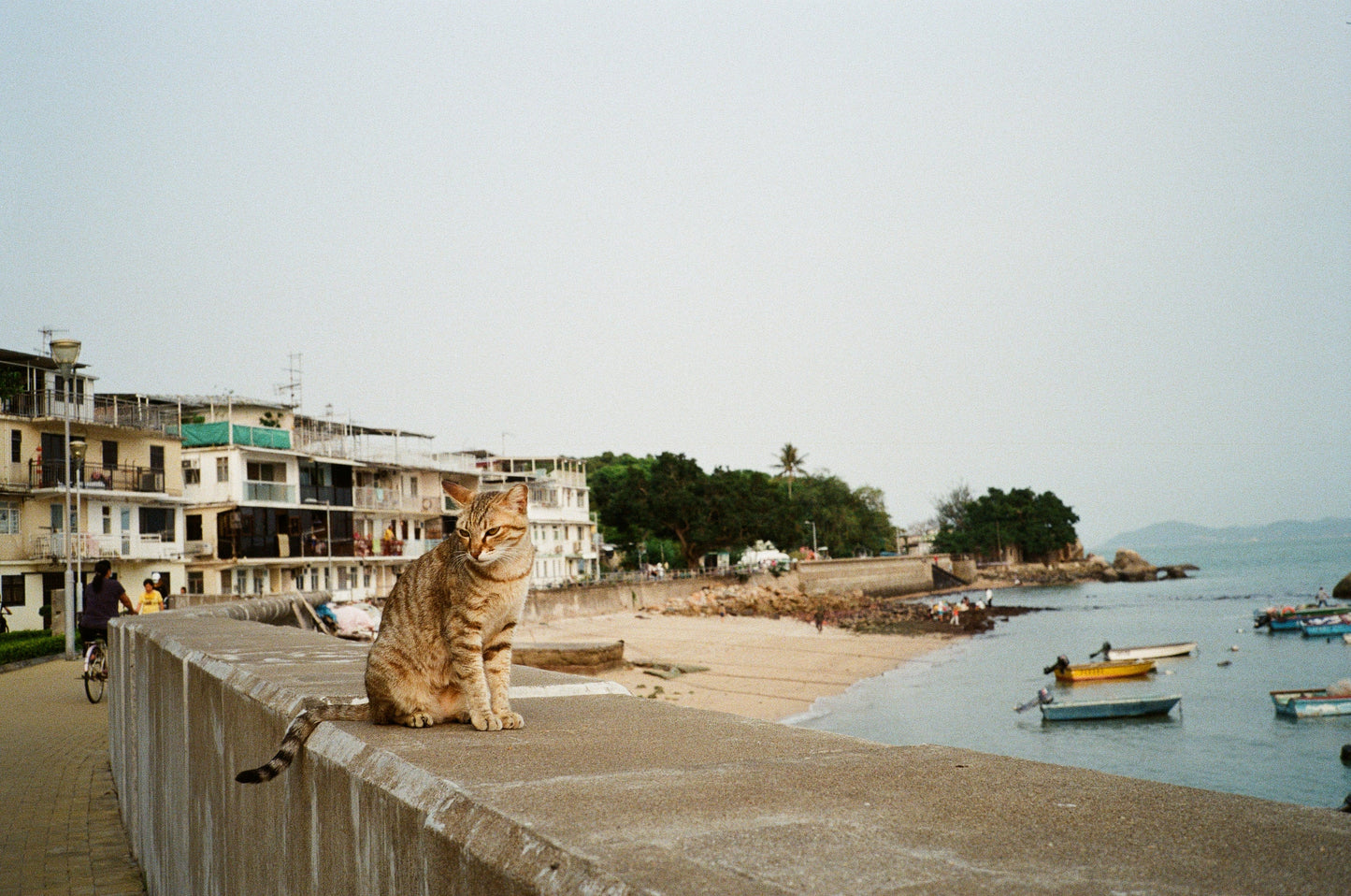 Retocolor Prism 200 Film 35mm 36exp