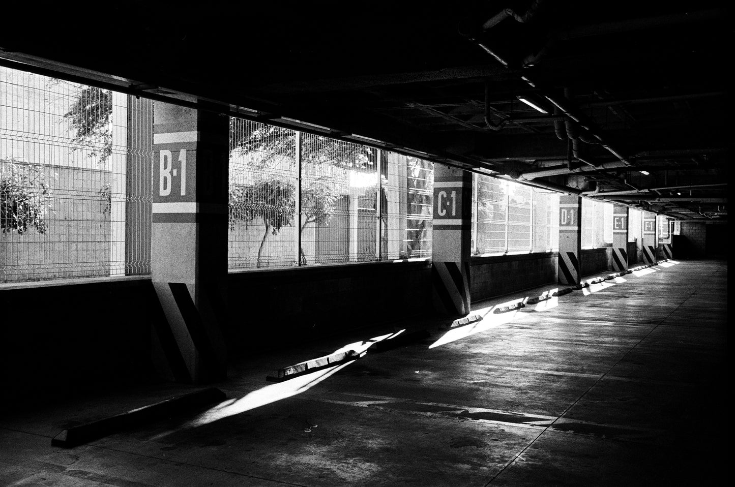 Kodak 400Tx (Eastman's version) Película ByN 35mm 36exp