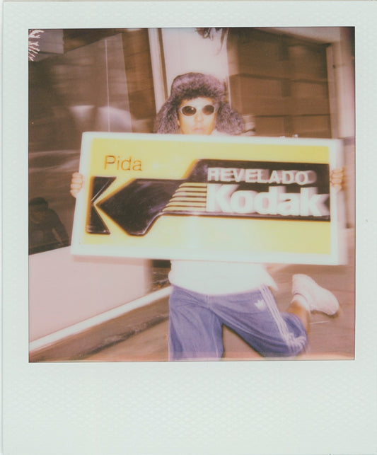 Polaroid Flip