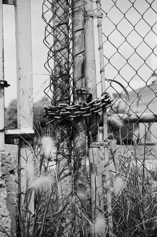 Adox HR 50 película B&N 35mm 36 exp