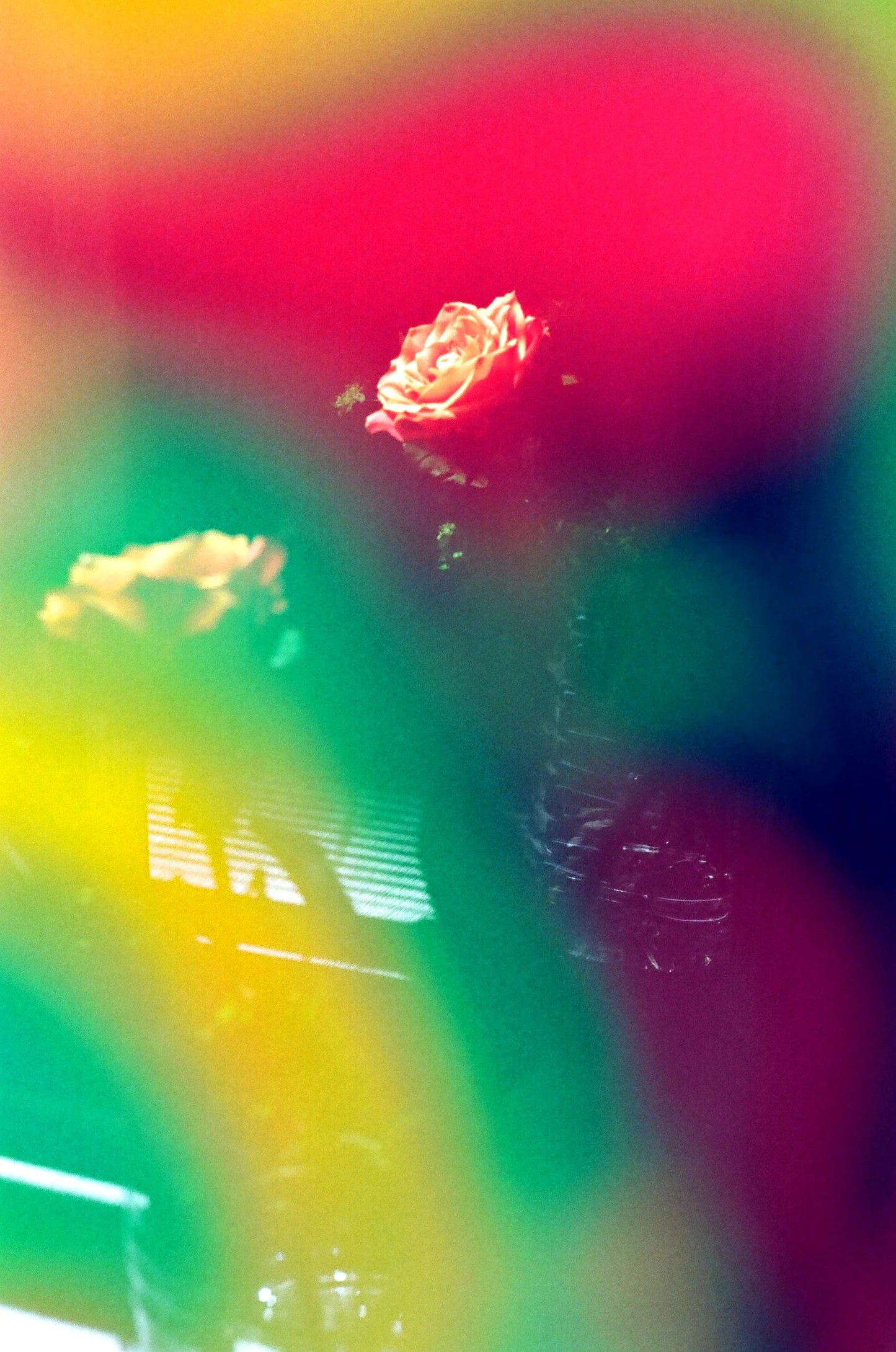 Dubblefilm Jelly 200 35mm 36exp