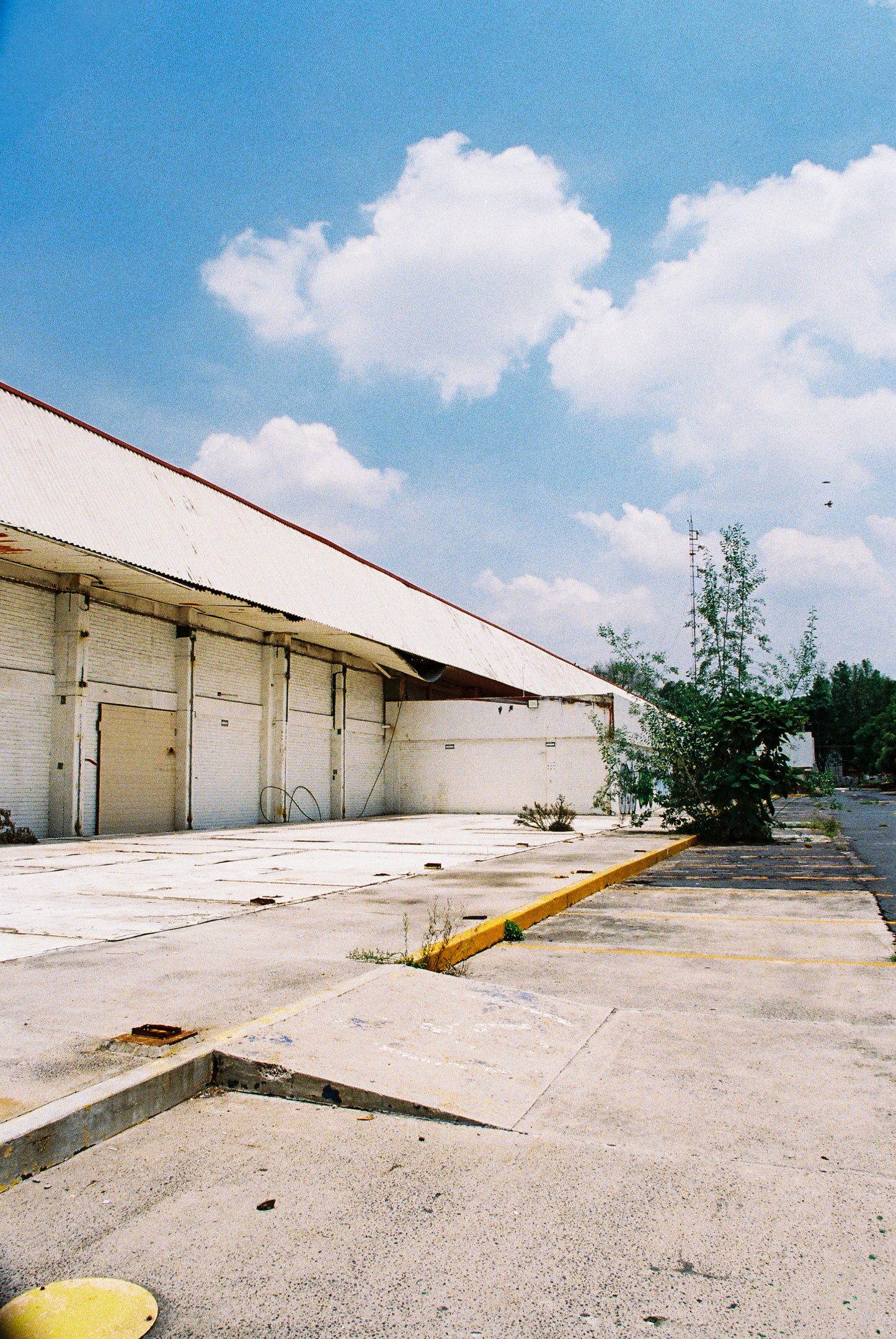 *3 PACK* Kodak Ultramax (Eastman's version) 400 Película Color C41 35mm 36 Exp