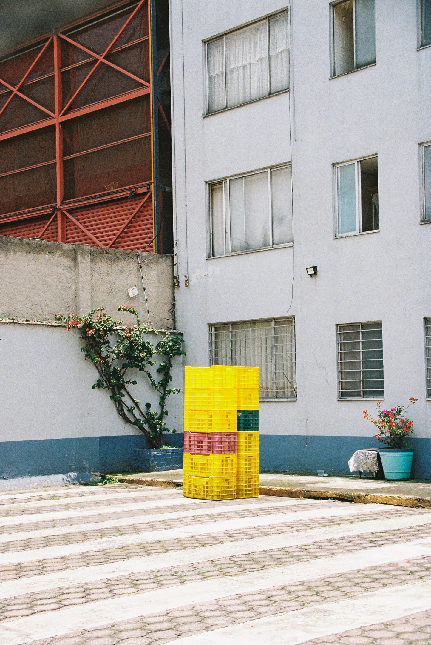 *3 PACK* Kodak Ultramax (Eastman's version) 400 Película Color C41 35mm 36 Exp