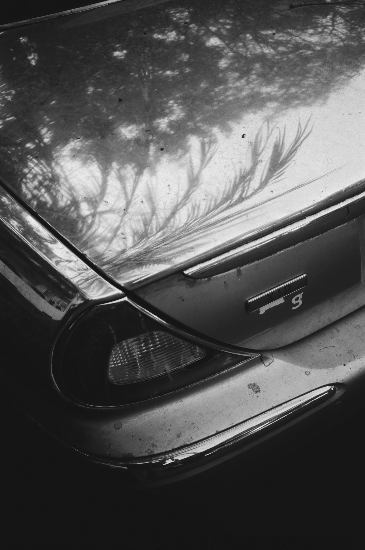 FujiFilm Acros 100 Neopan Pelicula b/n 35mm 36exp