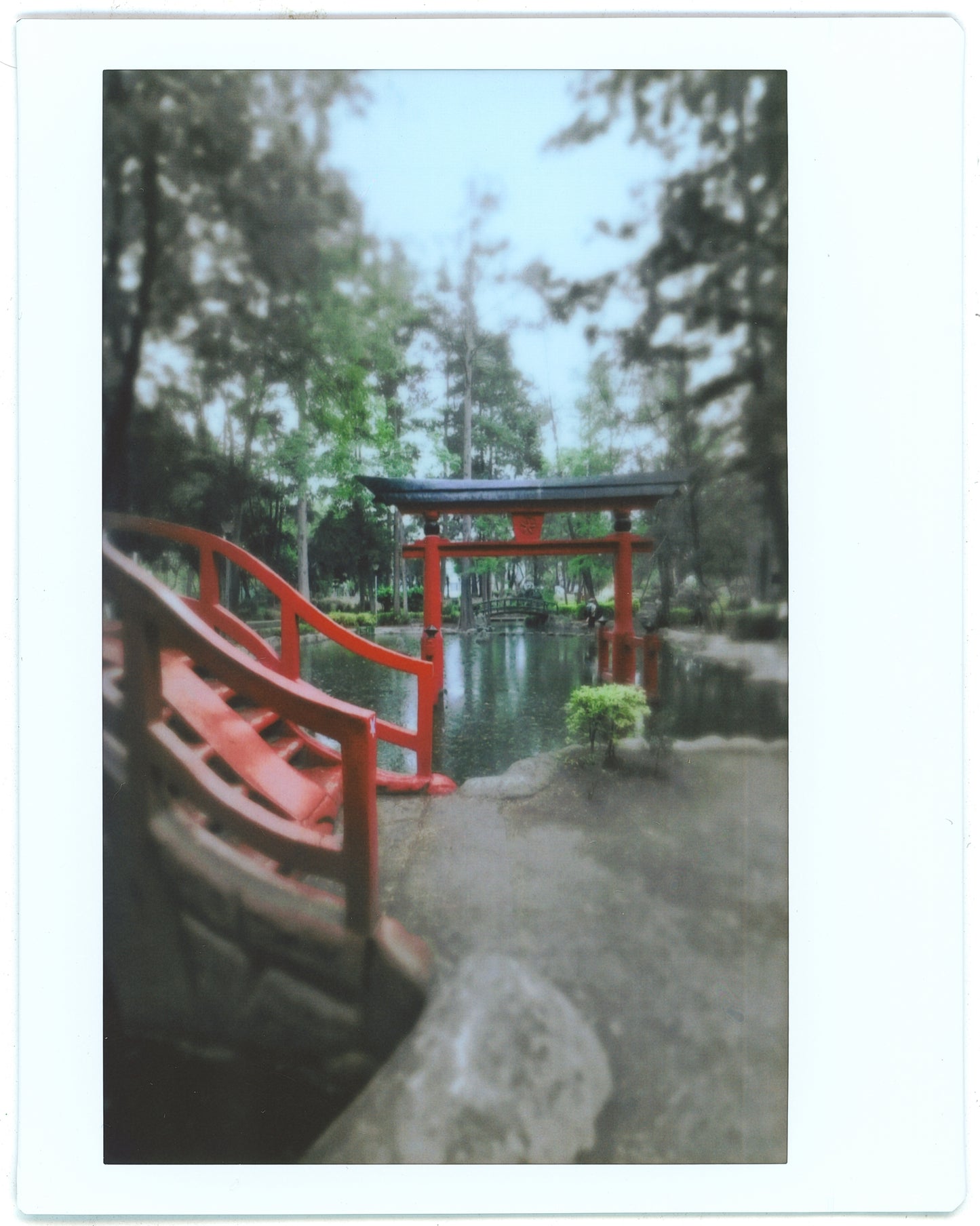 Instax Wide 10 exposiciones