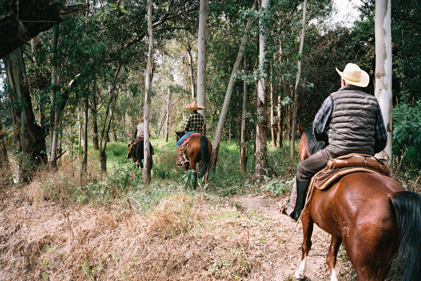 FujiFilm Superia Premium 400 Película Color C41 35mm Rollo 36 Exp