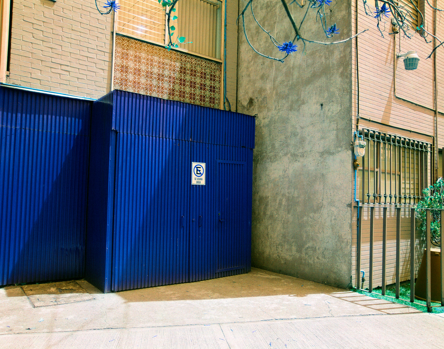 Harman Azure 35mm 36exp