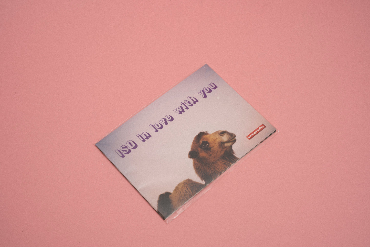 Lomography Love Cards - Set de 3