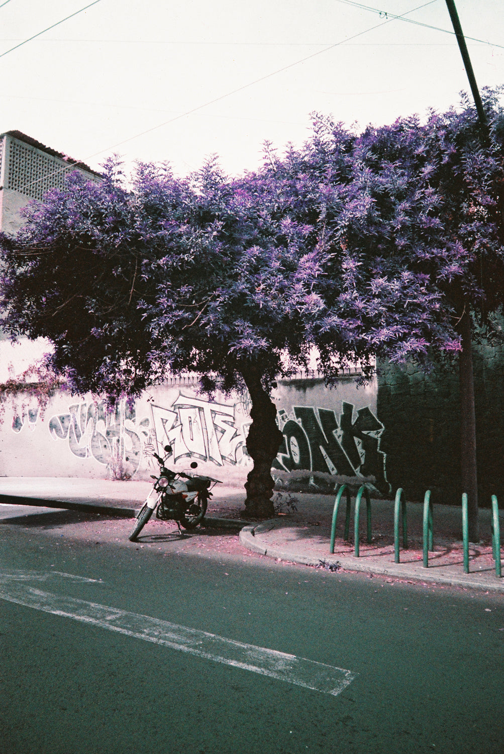 Lomography Analogue Trio 35mm