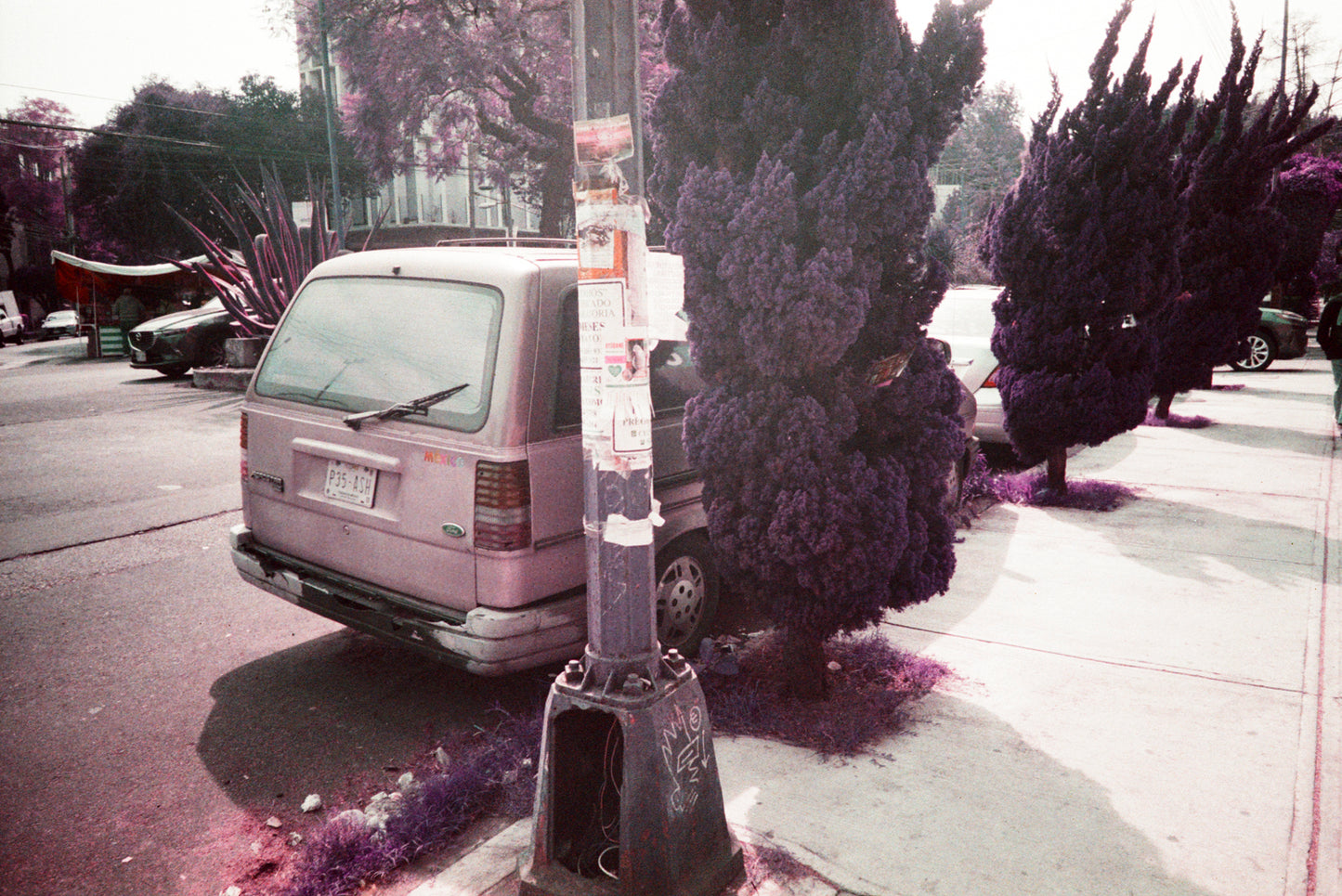 Lomography LomoChrome Purple XR 100-400 Película Color C41 35mm  36exp