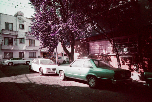Lomography LomoChrome Purple XR 100-400 Película Color C41 35mm  36exp
