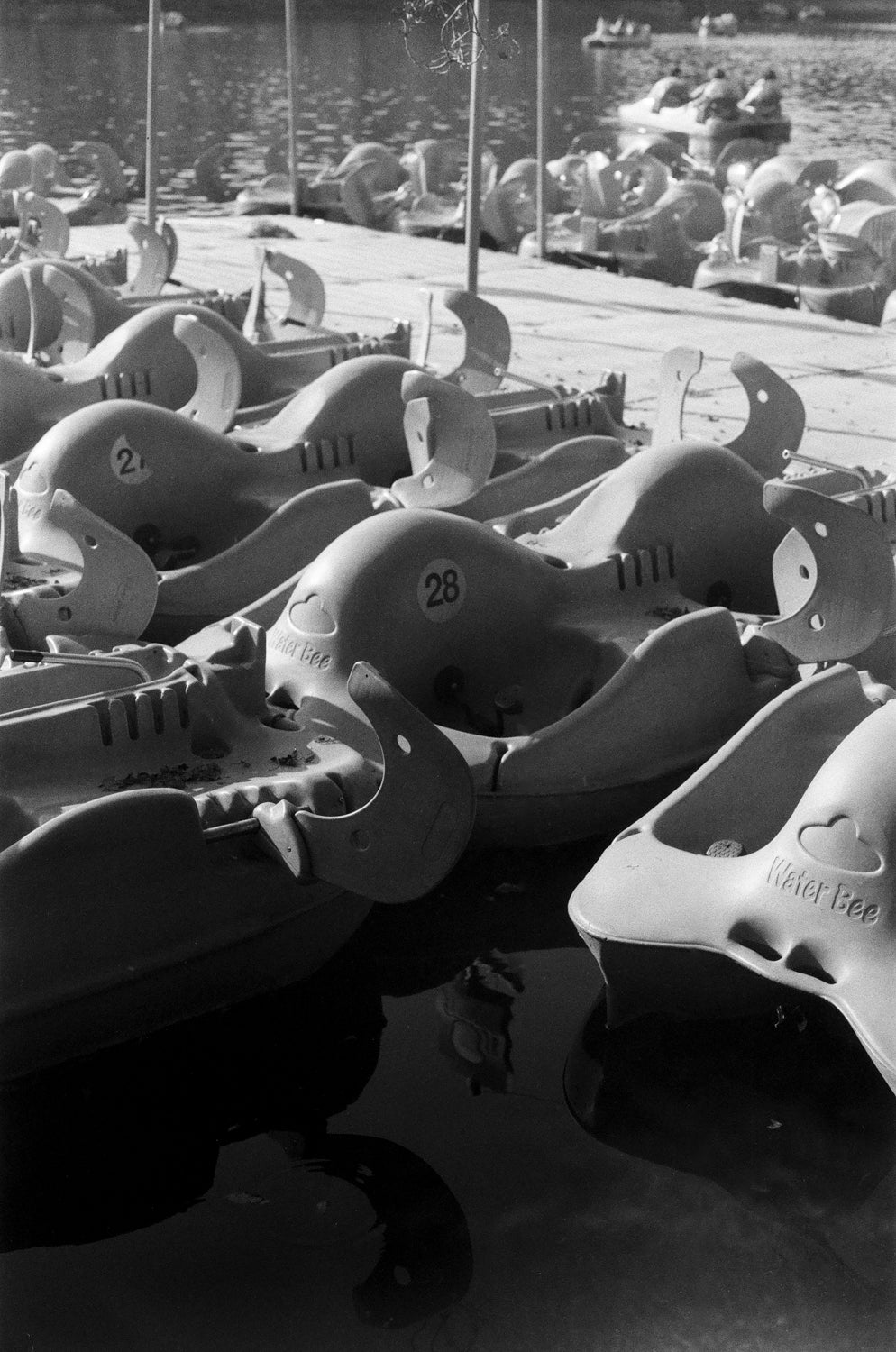 Peces Raros #2 Lucky SHD 100 Carga 35mm B/N 24exp