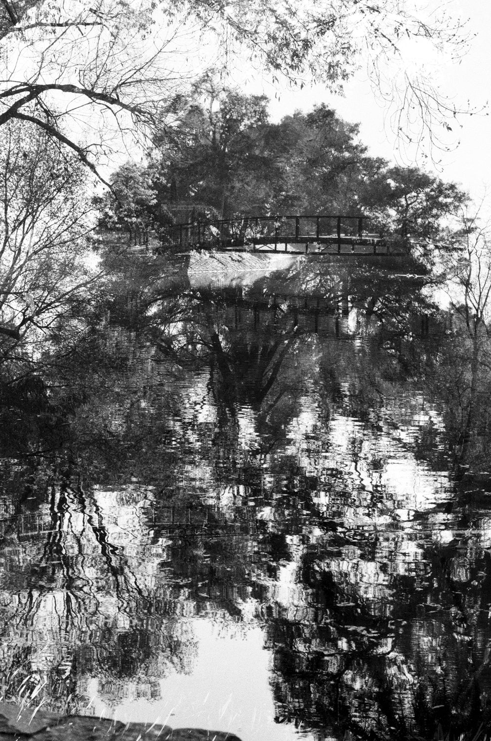 Peces Raros #2 Lucky SHD 100 Carga 35mm B/N 24exp