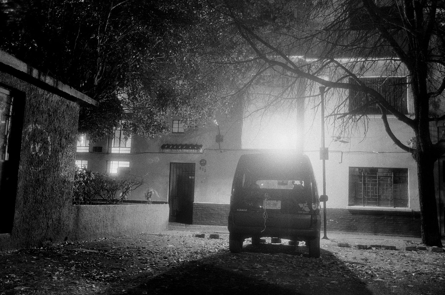 Peces Raros #3 Film Washi F Carga 35mm B/N ISO 100 24exp