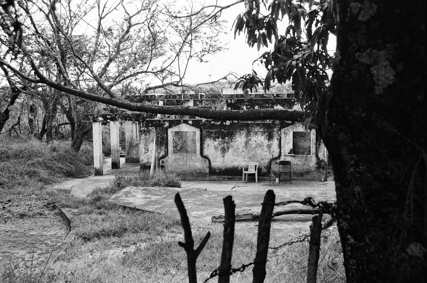 Peces Raros # 4 Film Washi Z Carga 35mm B/N ISO 400 24exp