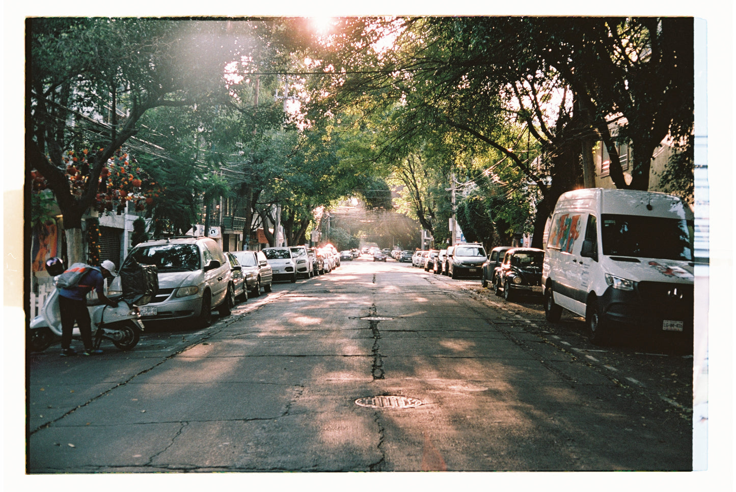 Negativo 100 x Foto Hércules Rollo ISO 100 35mm 36exp