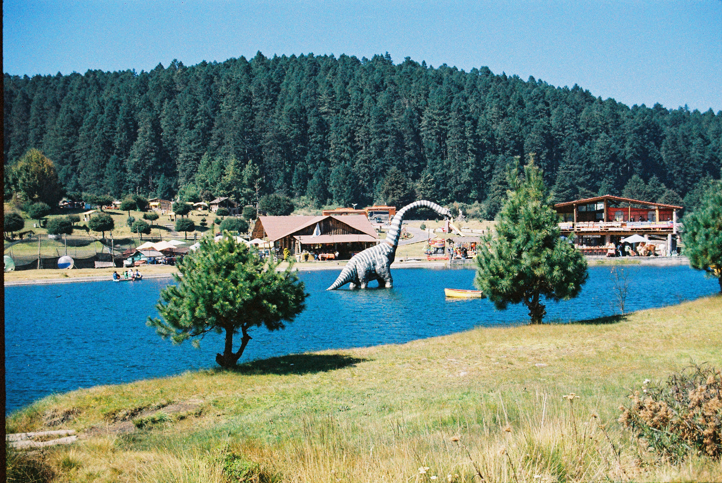 Opti Colour 200 C-41 35mm