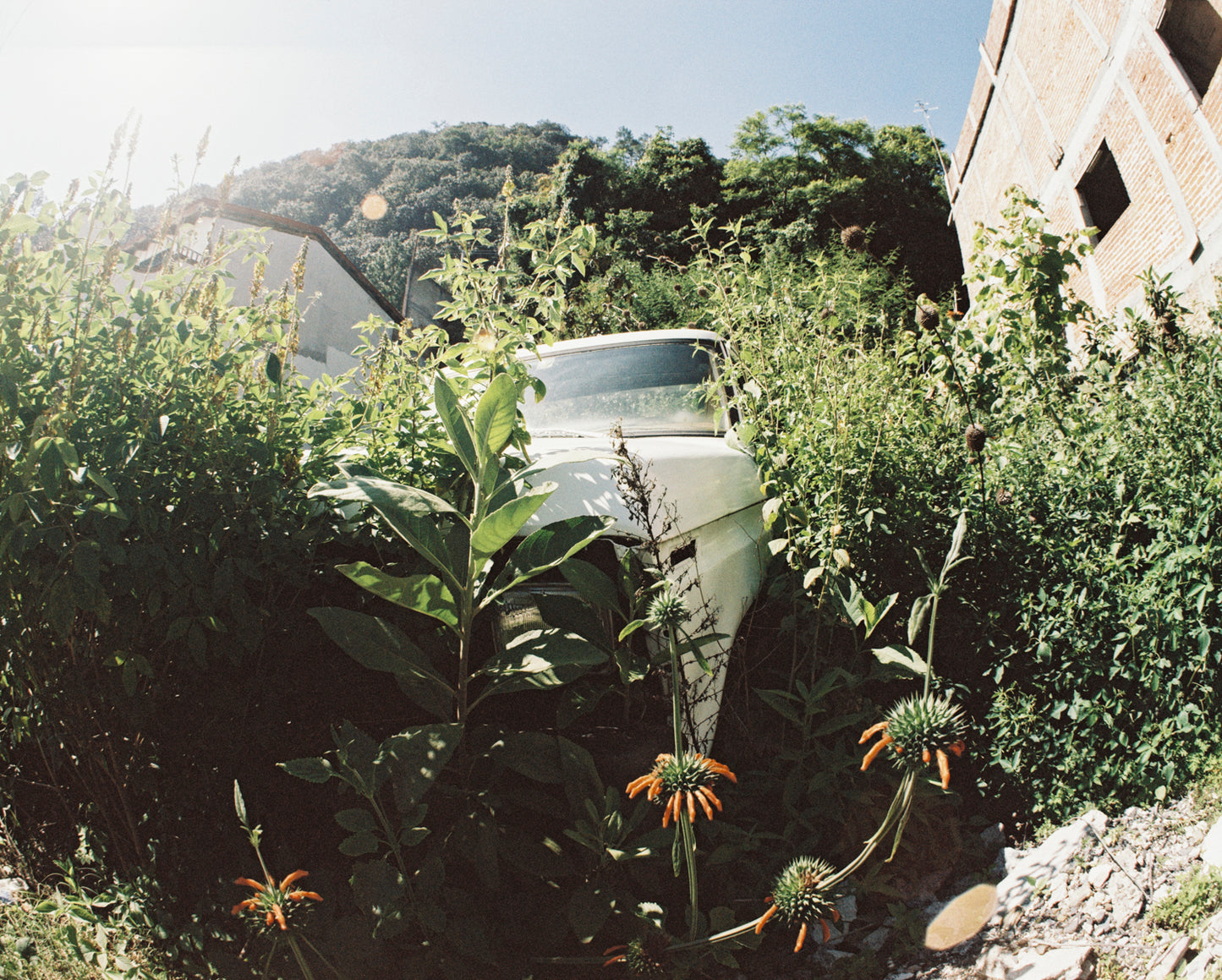 Lomography Lomochrome Color´92 Sun Kissed ISO 400 Formato 110 C-41