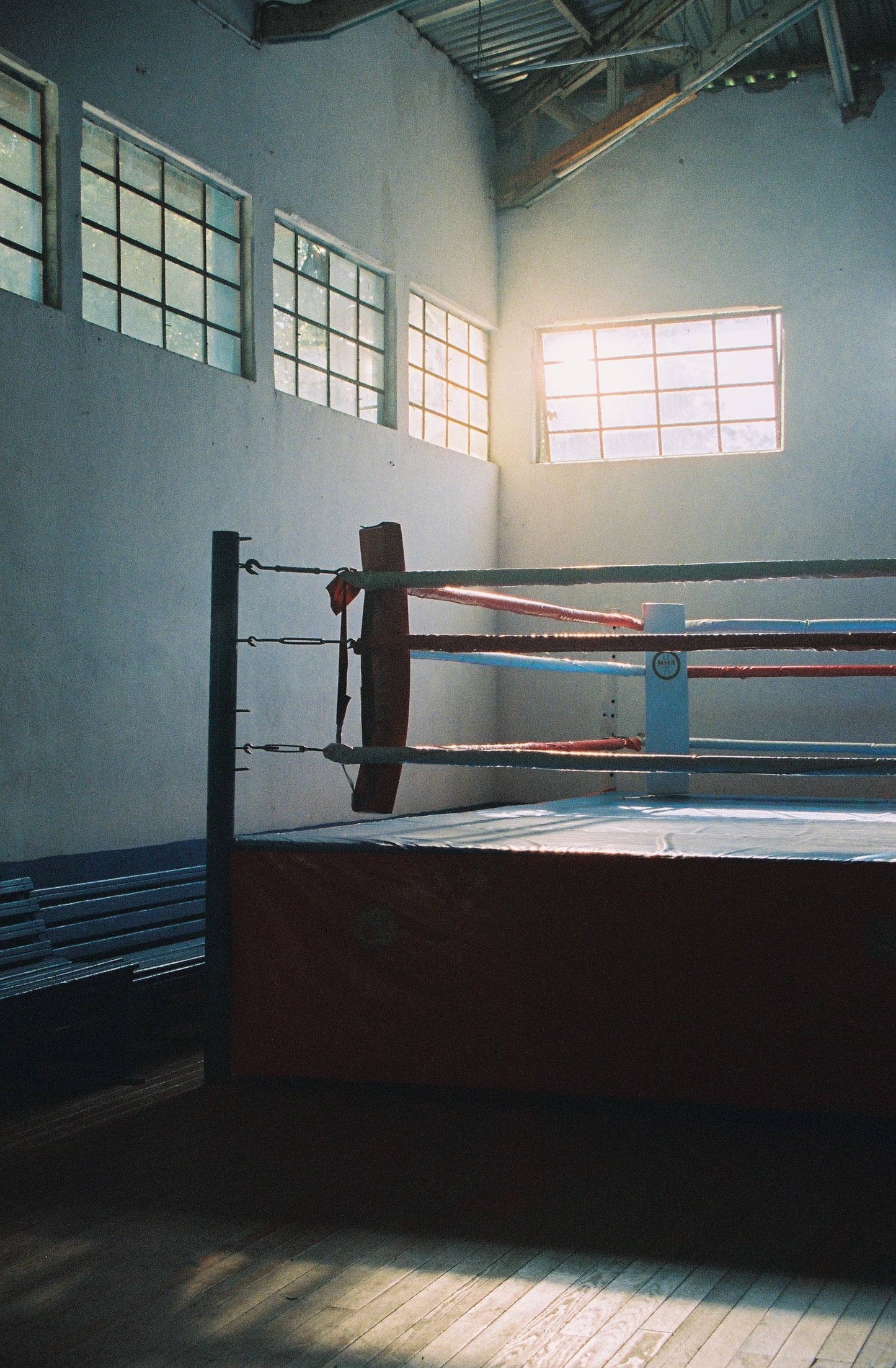 Kodak Portra 800 Película Color C41 35mm 36exp