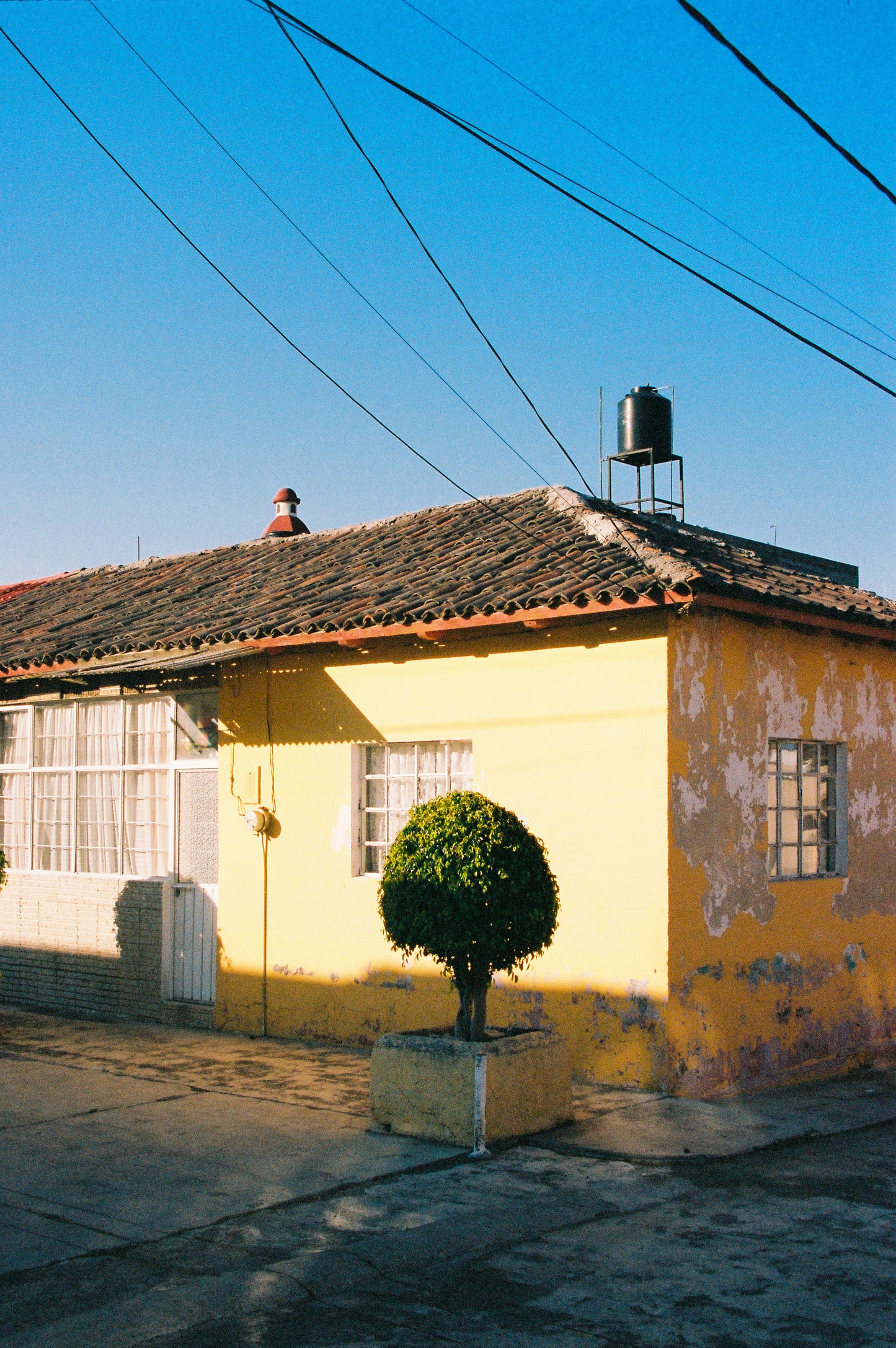 Kodak Portra 400 Película Color C41 35mm 36 Exp