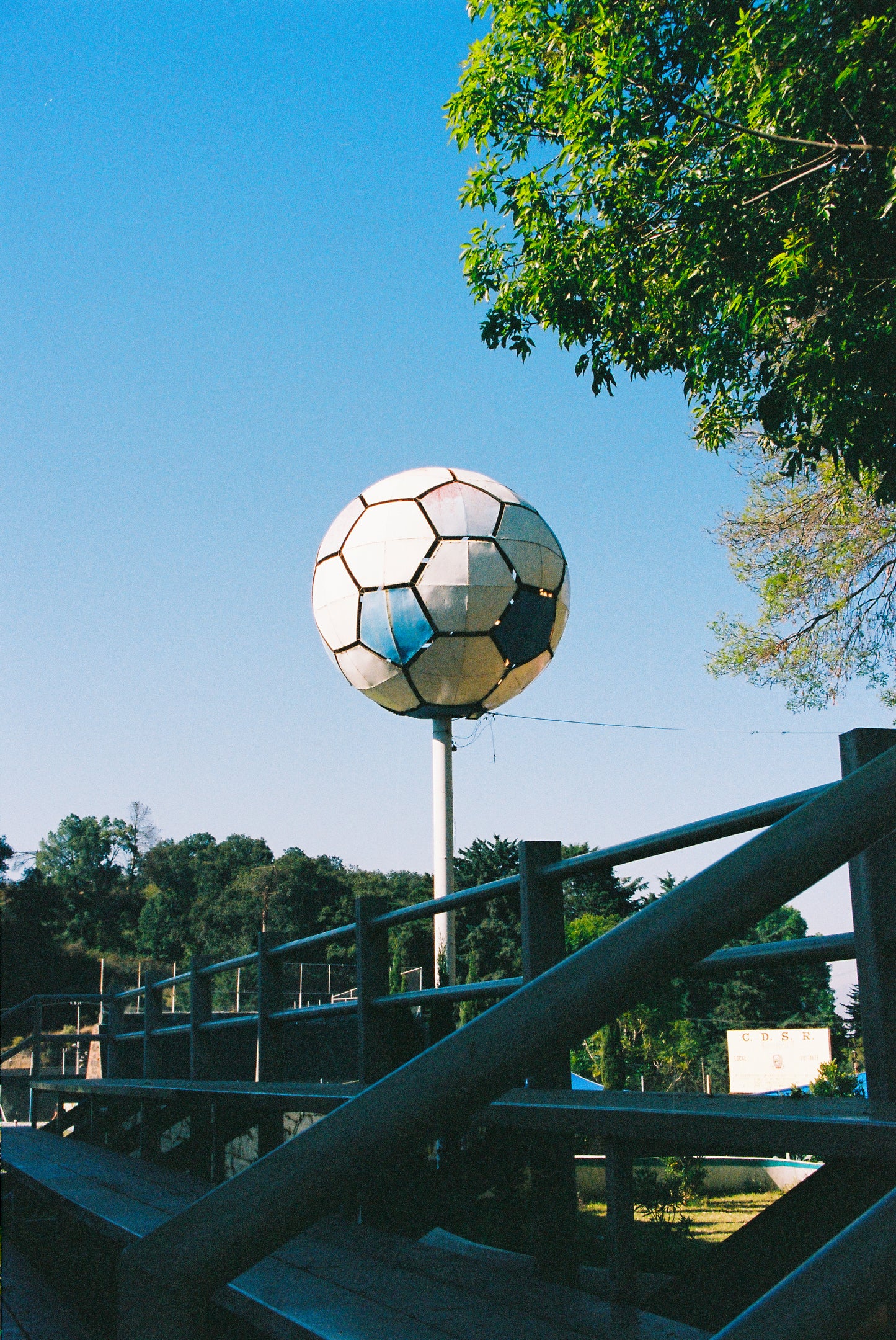 Kodak Portra 400 Película Color C41 35mm 36 Exp